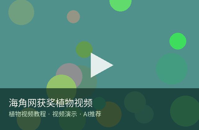国产视频