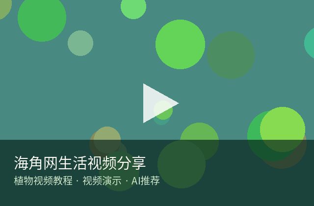 国产视频