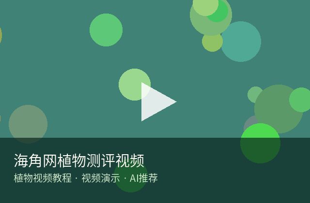 国产视频